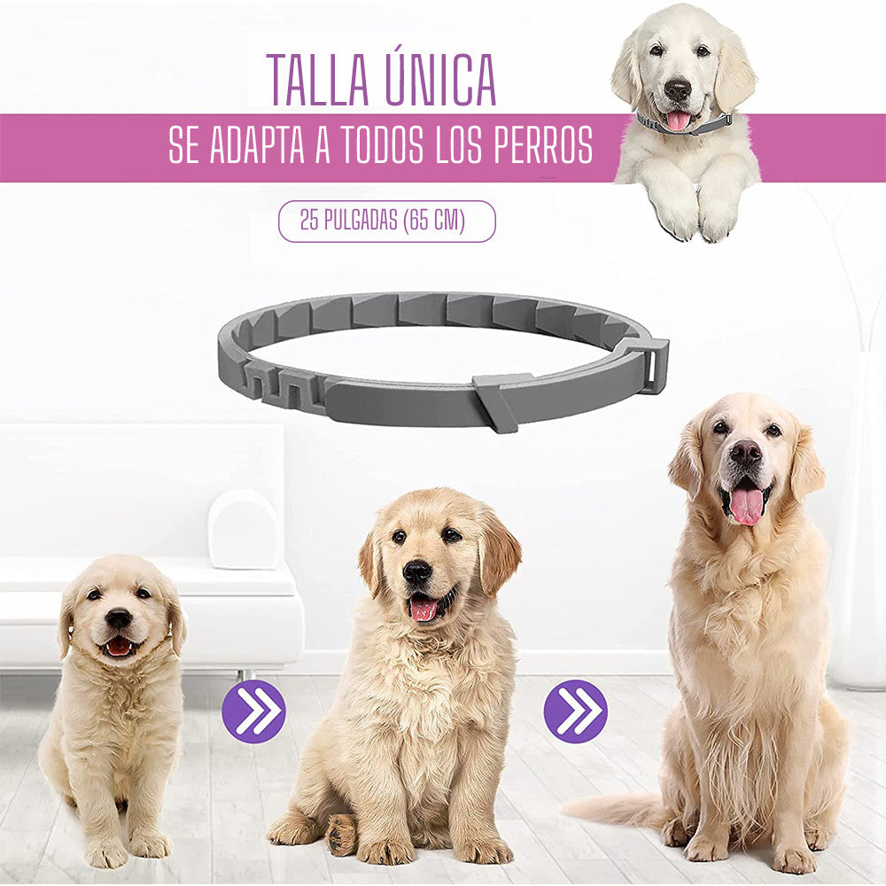 MOLLISPETS™ | COLLAR RELAJANTE DE FEROMONAS PARA PERRO