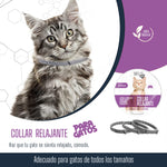 MOLLISPETS™ | COLLAR RELAJANTE DE FEROMONAS PARA GATOS